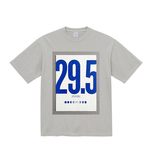 MOON / TYPOGRAPHIC — 9.1oz Graphic Tee frost-gray image